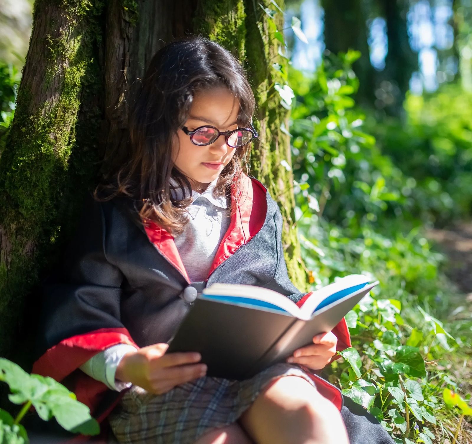 About Children's Concierge Education Curricula for Families